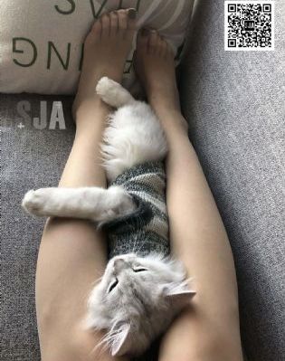 欧美风情头手绘_DVD日韩免费观看