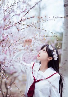 欧美黑人大黄片_1080P免费观看最新